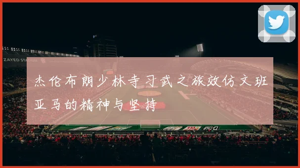 杰伦布朗少林寺习武之旅效仿文班亚马的精神与坚持
