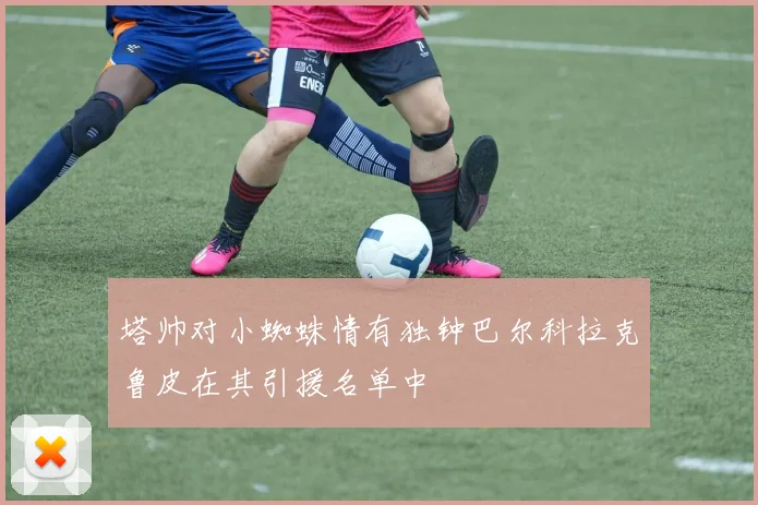 塔帅对小蜘蛛情有独钟巴尔科拉克鲁皮在其引援名单中