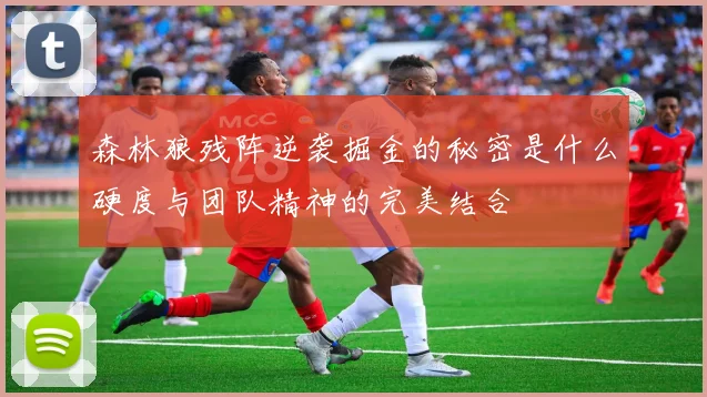 森林狼残阵逆袭掘金的秘密是什么硬度与团队精神的完美结合
